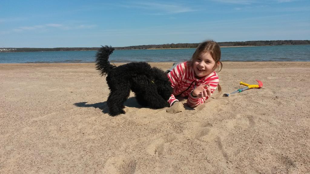 Groena Uddens Camping Mariehamn Esterno foto